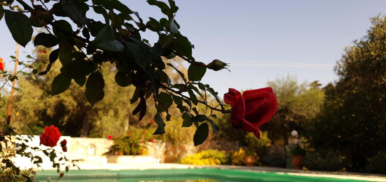 Livadi Studios With Pool Lakka  Ngoại thất bức ảnh