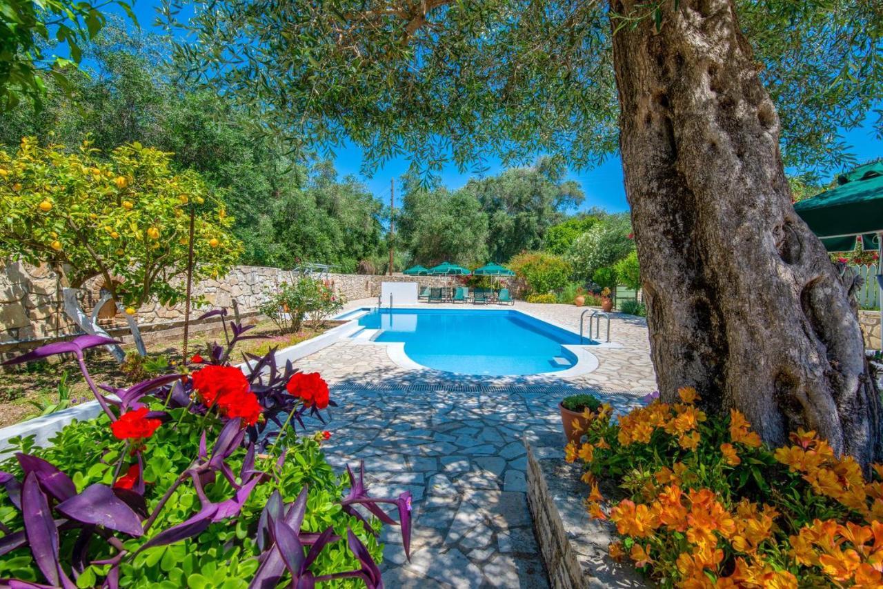 Livadi Studios With Pool Lakka  Ngoại thất bức ảnh